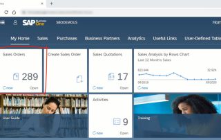 sap business one web client